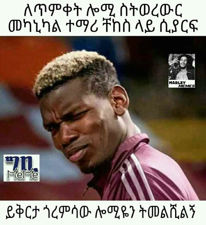 መልቪልኝ OARLAS